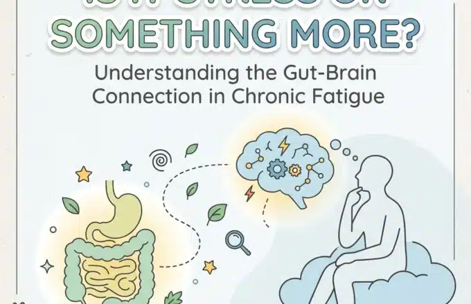 Is It Stress or Something More? Understanding the Gut-Brain Connection in Chronic Fatigue