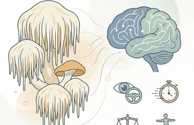 Lion’s Mane and Psychomotor Performance