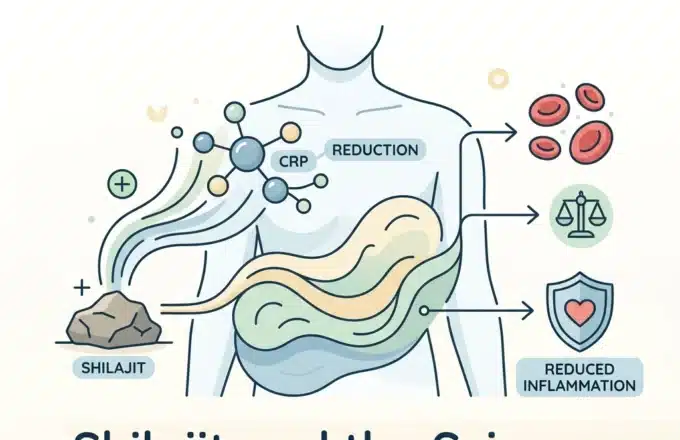 Shilajit and the Science of CRP Reduction