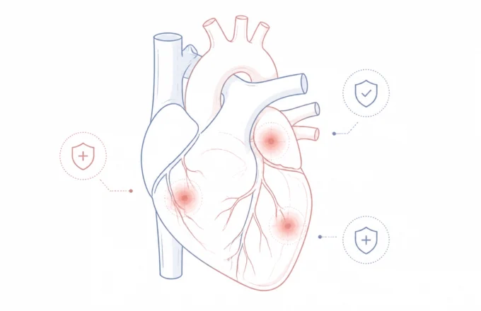 The Link Between Chronic Inflammation and Heart Disease
